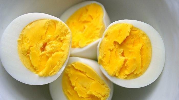 Ilustrasi kuning telur