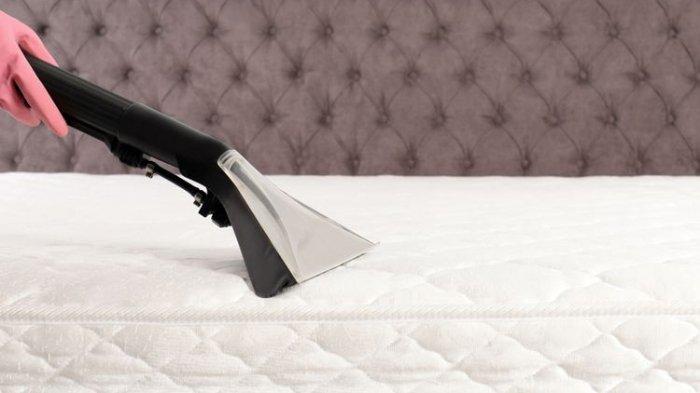 Ilustrasi membersihkan kasur dengan vacuum cleaner untuk bantu atasi masalah kutu kasur yang berukuran kecil.