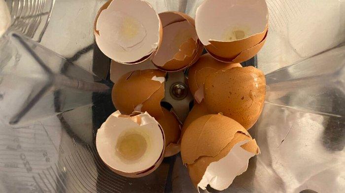 Ilustrasi menajamkan pisau blender menggunakan cangkang telur.