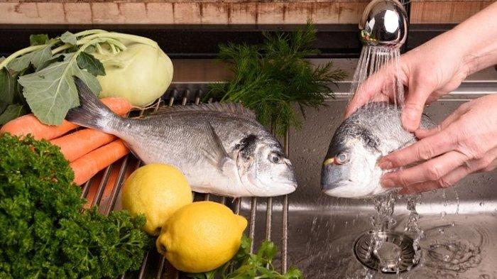 Ilustrasi mencuci seafood sebelum menyimpannya di dalam kulkas.