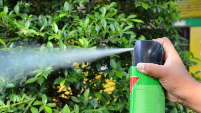 Ilustrasi menyemprotkan pestisida untuk menghalau serangga dan hama