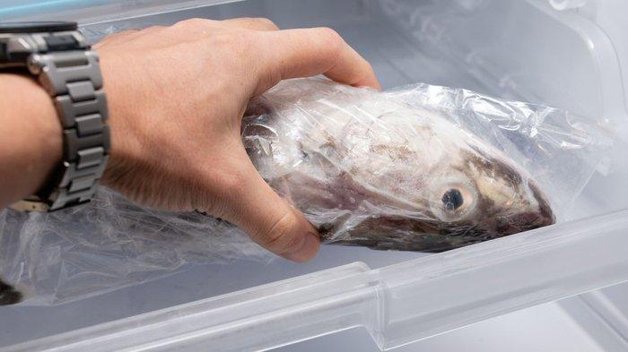 Ilustrasi menyimpan ikan di dalam kulkas, lakukan secara tepat.