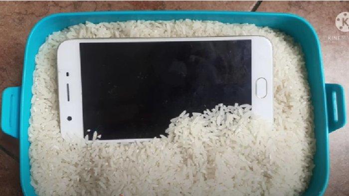Ilustrasi merendam handphone di tumpukan beras untuk menghilangkan embun di kamera handphone