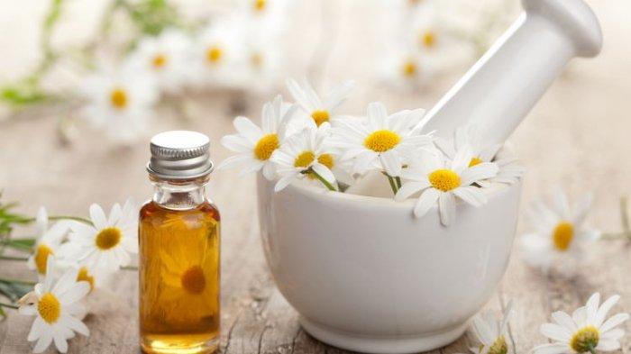 Ilustrasi minyak esensial cammomile bisa membantu  mencapai ketenangan dan membantu relaksasi.