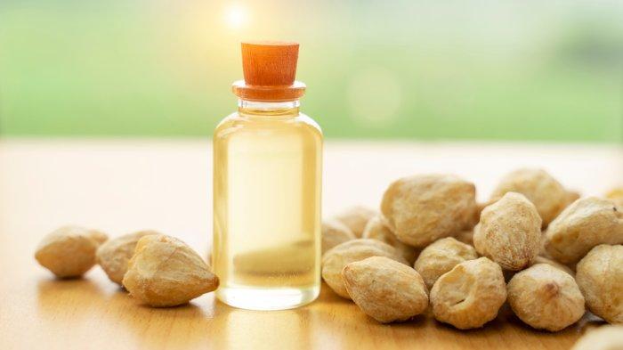 Minyak kemiri tak hanya baik untuk kesehatan rambut, ternyata juga dapat mempercantik kulit