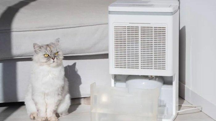 Ilustrasi penggunaan dehumidifier untuk mengatasi kelembapan berlebih di ruangan dan lemari, cegah pertumbuhan jamur.