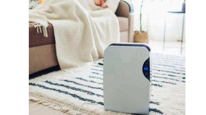 Ilustrasi penggunaan dehumidifier untuk mengurangi kelembapan di ruangan.