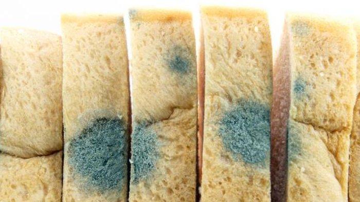 Ilustrasi roti tawar yang mudah berjamur, harus disimpan dengan cara tepat.