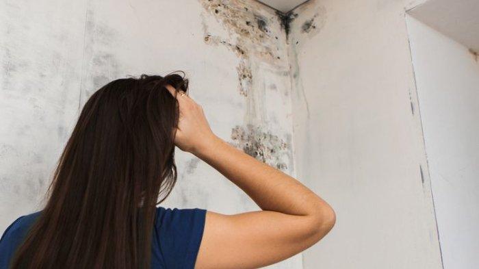 6 Cara Mengatasi Kelembapan Berlebih di Dalam Rumah, Jamur Dijamin