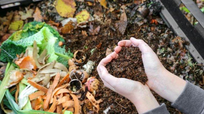 Ilustrasi penggunaan tanah gembur untuk tanaman dan banyak pupuk.
