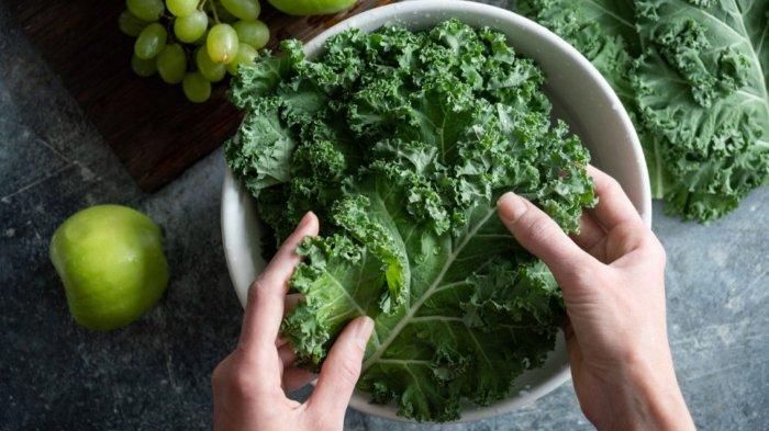 Ilustrasi sayur Kale