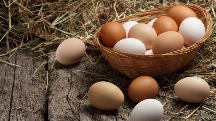 Menyimpan telur pada suhu ruang bisa awet lebih lama asal dicek 2 hari sekali dan diubah posisinya.