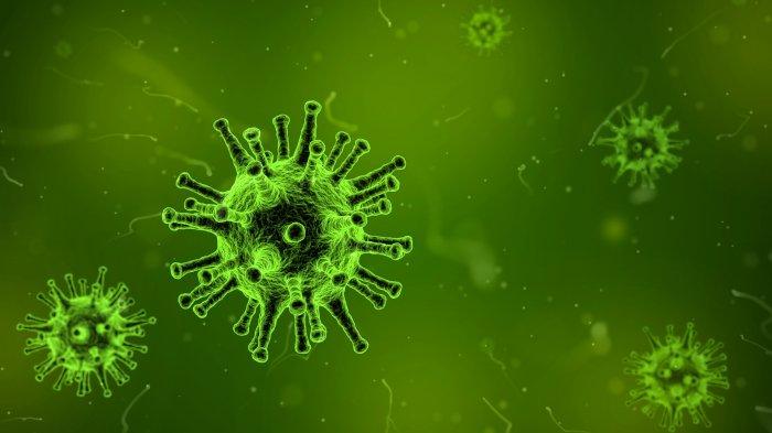 Ilustrasi virus yang dapat menyerang kesehatan tubuh.