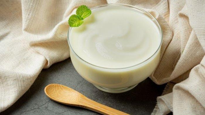 Ilustrasi yoghurt.