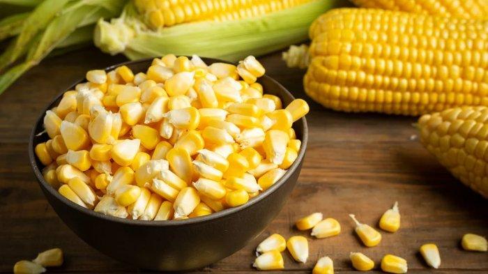Jagung merupakan salah satu makanan yang dapat membantu menurunkan kadar gula darah dalam tubuh.