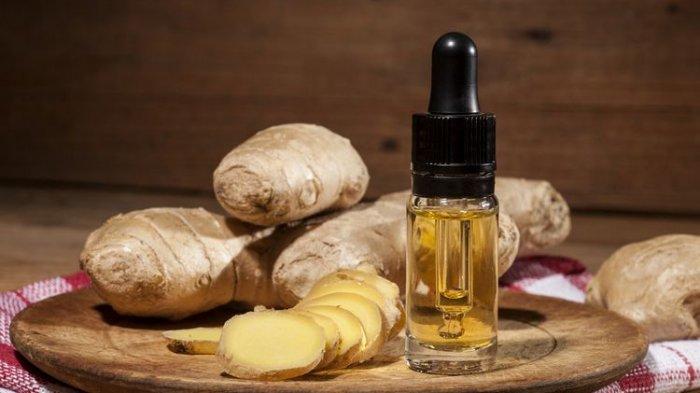 Ilustrasi jahe dan minyak kelapa bisa jadi obat cantengan alami.