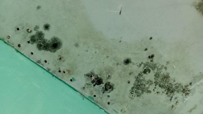 Jamur hitam di plafon bisa dibersihkan dengan berbagai cara mudah.