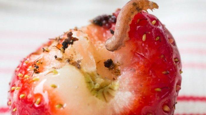 Jangan campur strawberry yang sudah dengan yang segar karena bisa mempercepat kerusakan.