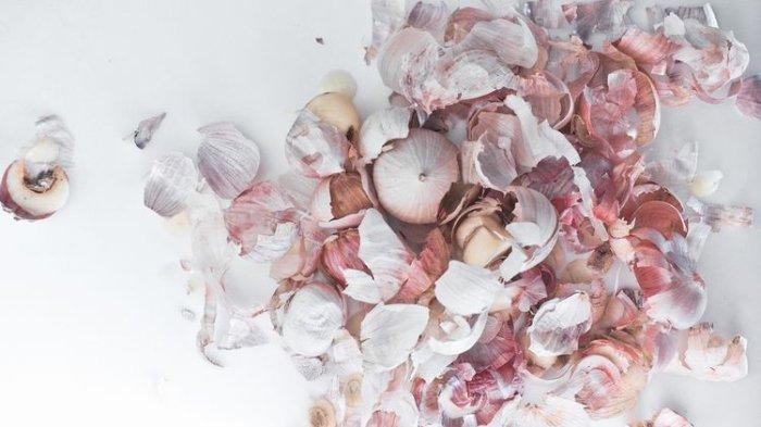 Jangan langsung dibuang, kulit bawang bisa membantu menyuburkan tanaman.