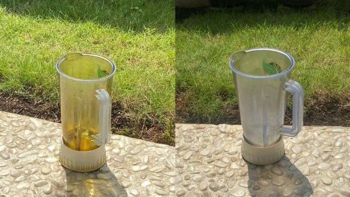 Jemur di bawah sinar matahari secara berkala untuk menghilangkan noda kunyit pada blender
