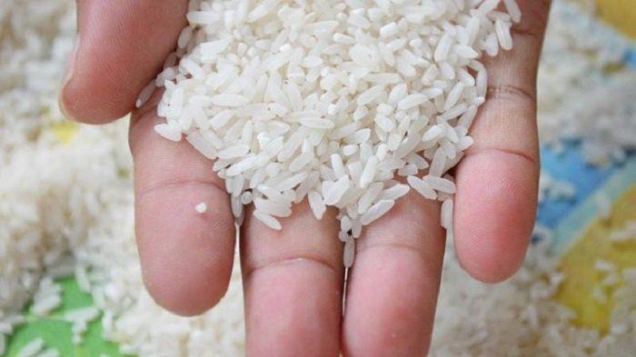Pastikan menyimpan beras di dalam wadah tertutup dan bersih untuk menjaga kualitasnya lebih tahan lama.
