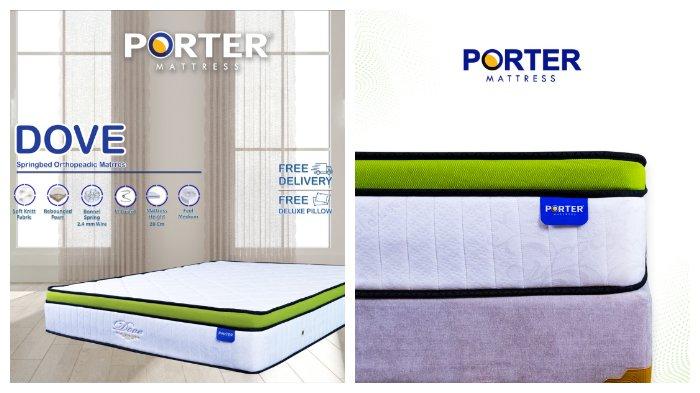 Kasur Springbed Orthopedic PORTER - Dove