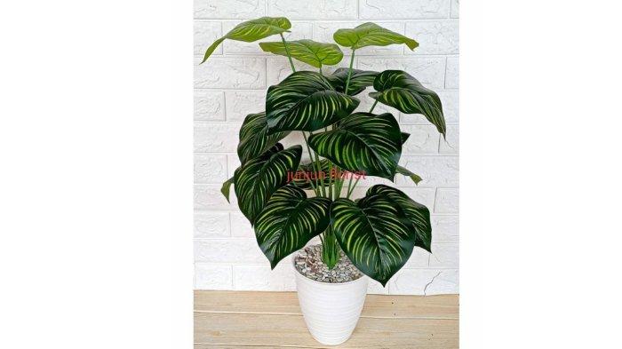 Tanaman hias plastik keladi hijau pot tawon/keladi hijau artificial