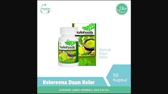 Keloreena Kapsul 100 persen Asli - Ekstrak Daun Kelor
