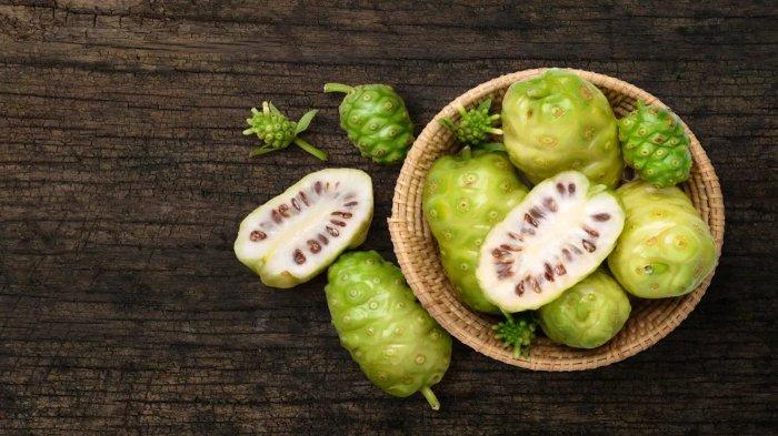 Keunggulan buah mengkudu bisa kamu gunakan untuk menghitamkan rambut.
