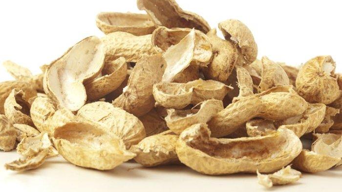 Kulit kacang bisa menjadi pupuk alami untuk tanaman.