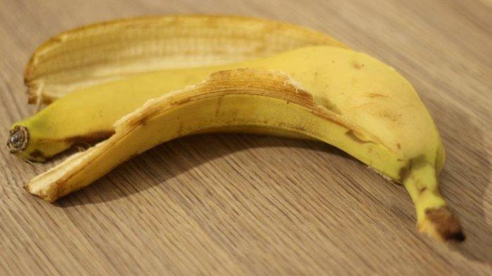 Kulit pisang bisa menjadi pupuk alami untuk tanaman.