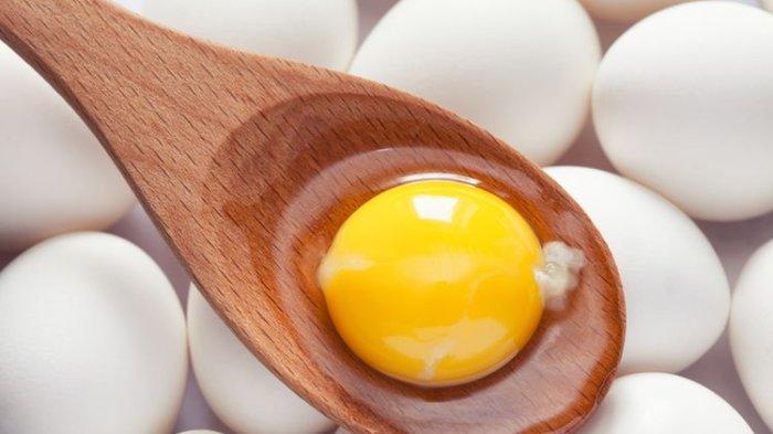 Ilustrasi kuning telur yang bisa jadi makanan promil terbaik.