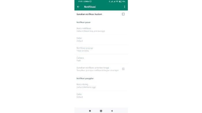 Ilustrasi pengaturan nada dering di kontak WhatsApp tertentu