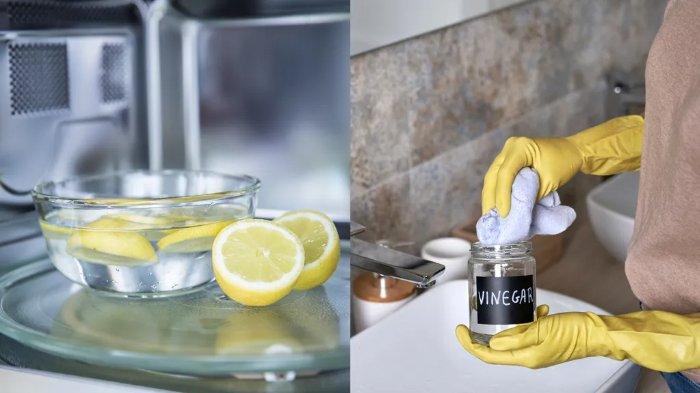 Ilustrasi lemon dan cuka yang bisa digunakan untuk membersihkan noda kunyit pada blender