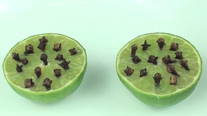 Lemon dan cengkih dapat dimanfaatkan untuk mengusir lalat yang ampuh.