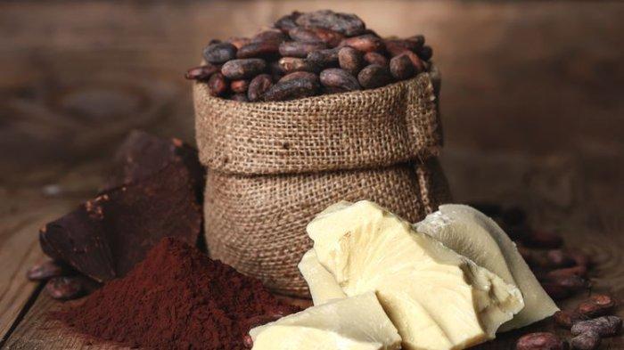 Manfaat Cocoa butter untuk kulit dan bibir.