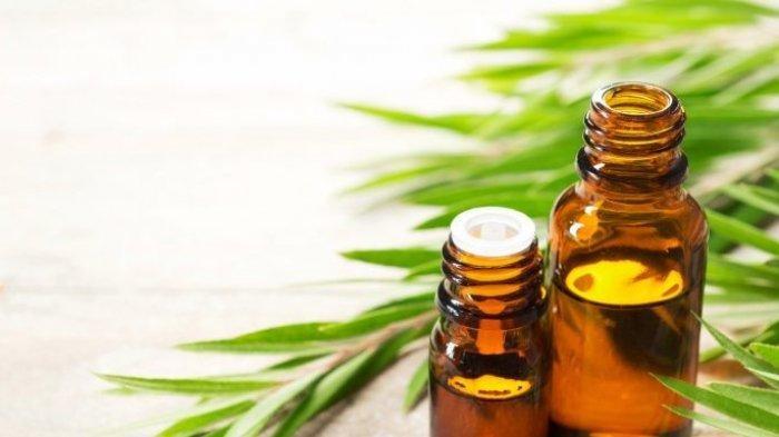 Essential oil sekarang sudah banyak digunakan karena terbukti mampu melawan beberapa masalah kulit.