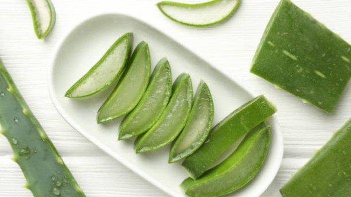Manfaat lidah buaya untuk hempas flek