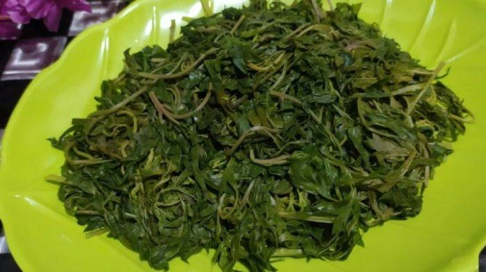 Masak kenikir dengan Kematangan yang Pas, Jangan Berlebihan