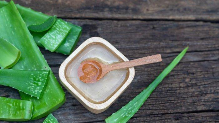 Masker lidah buaya.