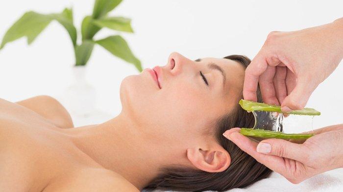 Lidah buaya sejuta manfaat untuk masker wajah.