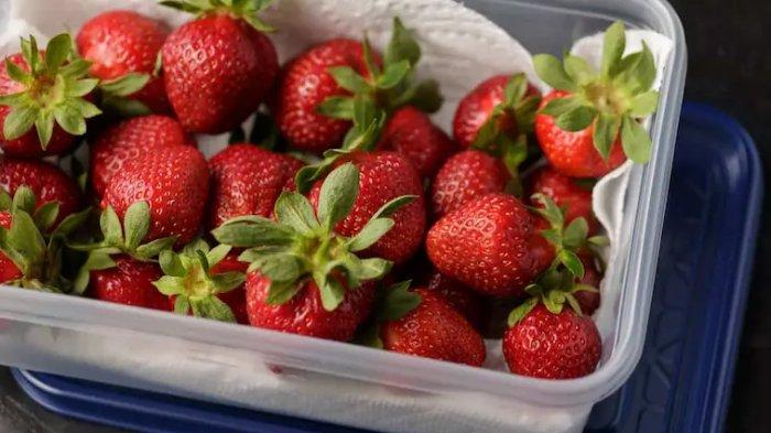 Melapisi wadah penyimpanan strawberry dengan kertas atau tisu bisa memperpanjang masa simpannya.