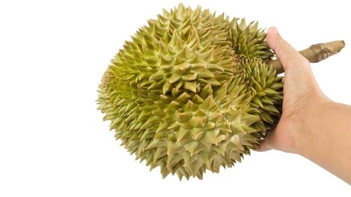 Bau durian di dalam rumah bisa diatasi dengan kayu manis.