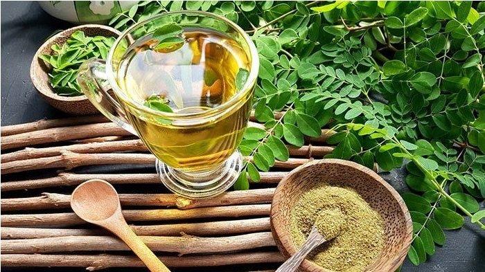 Ilustrasi jamu daun kelor pandan