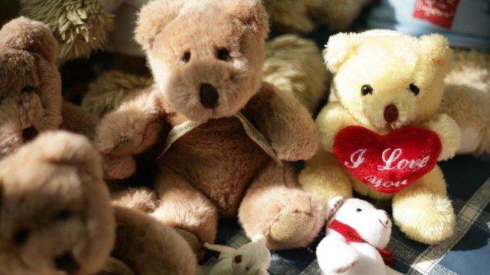 Mencuci boneka anak gak bisa sembarangan supaya tetap lembut serta tidak mudah kempes.