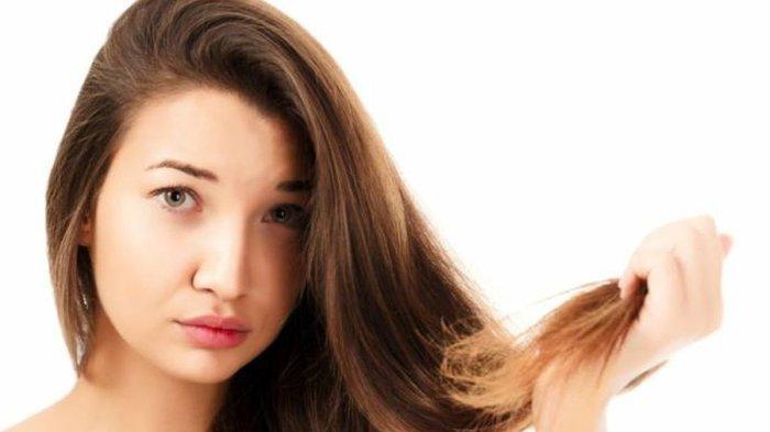 Rambut bercabang ternyata bisa diatasi dengan bahan alami, salah satunya dengan bahan alami seledri.