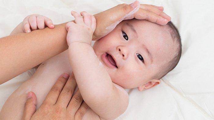 Mengonsumsi daun katuk juga dapat membantu mencegah Infeksi Bakteri pada Bayi