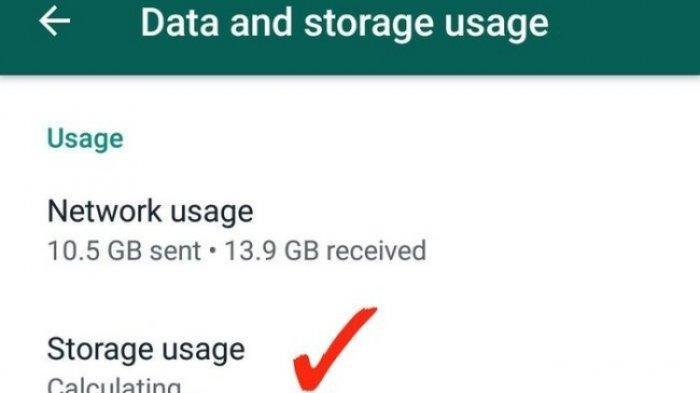 Ilustrasi pakai Menu Data dan Storage WhatsApp