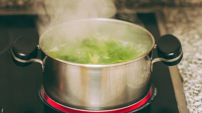 Hanya direbus dan diminum saja, begitulah cara konsumsi daun seribu agar mendapatkan khasiatnya yang luar biasa