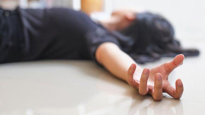 Minum air rebusan daun alpukat dapat membantu mengatasi kejang